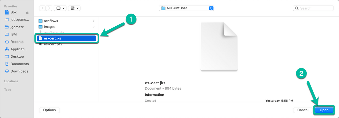 ACE Toolkit integration with ES Configuration Step 24